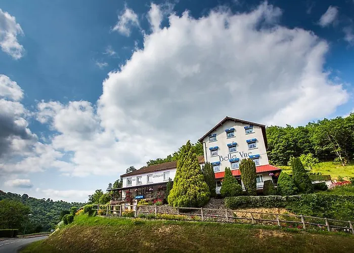 فندق Logis Belle Vue 3*