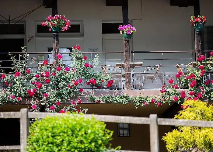 فندق Logis Belle Vue 3*